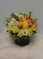 Spring Fling from Metropolitan Plant & Flower Exchange, local NJ florist