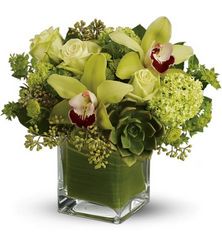 Rainforest Bouquet from Metropolitan Plant & Flower Exchange, local NJ florist